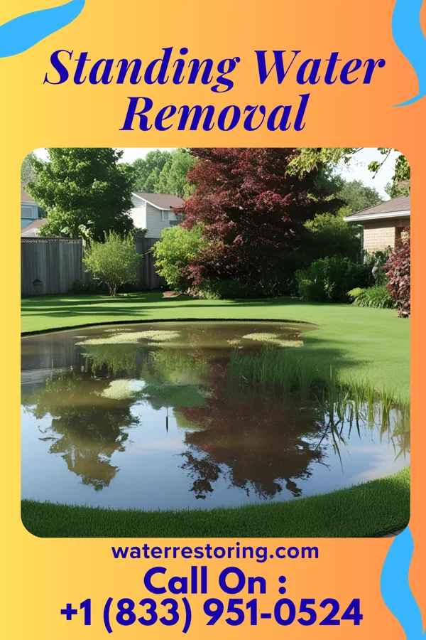 Standing Water Removal in Munford, AL